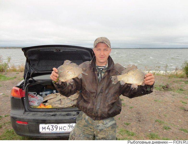 Озеро тыгиш, каменск-уральский. отзывы, отдых, рыбалка, как добраться, отели – туристер.ру