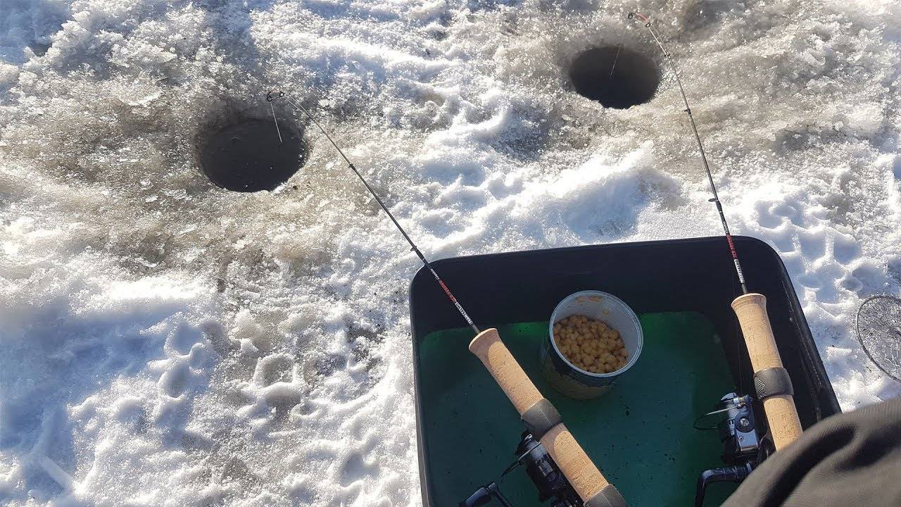 Рыбалка по первому льду: выбор снастей и места ловли