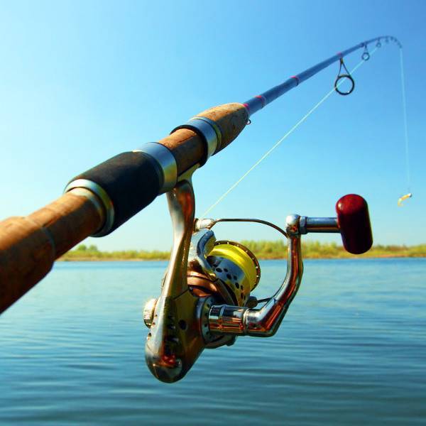 Рыбалка на спиннинг: как правильно ловить, рыбачить и пользоваться