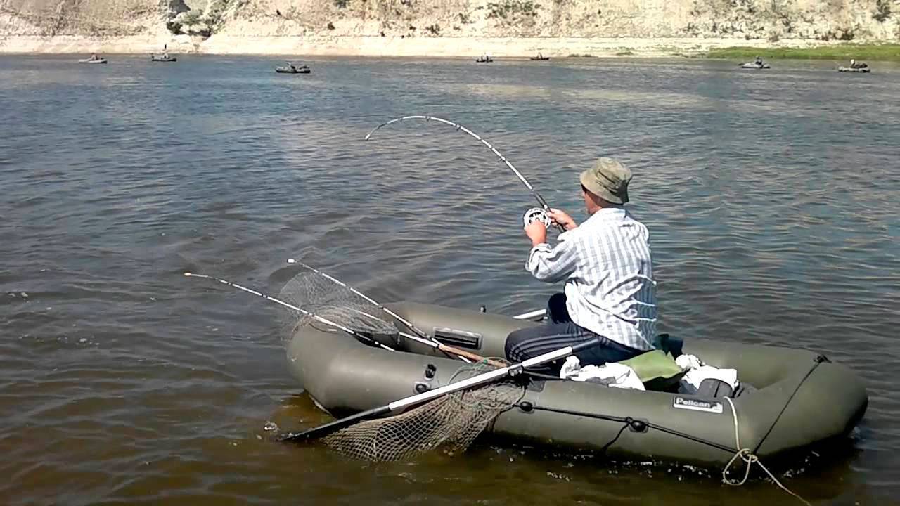 Река дон – лучшее место для рыбалки и отдыха