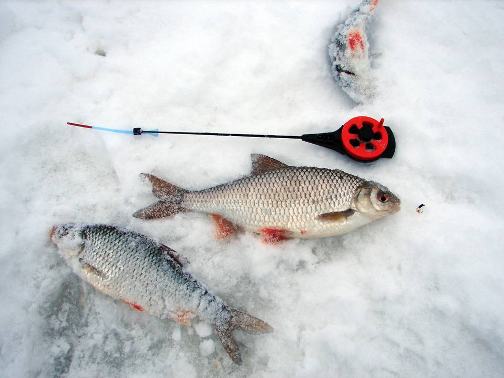 Что такое мормышка: для зимней и летней рыбалки, безмотылка и насадочные варианты