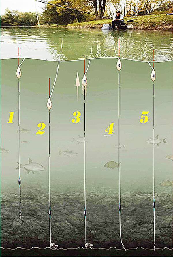 Тактика и техника рыбалки на поплавок и сборка удочки
тактика и техника рыбалки на поплавок и сборка удочки