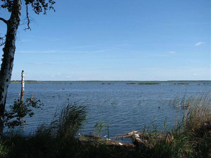 Озеро иртяш в челябинской области. базы отдыха, на карте, отзывы, отдых на озере, рыбалка 2020, фото, видео, как добраться – туристер. ру