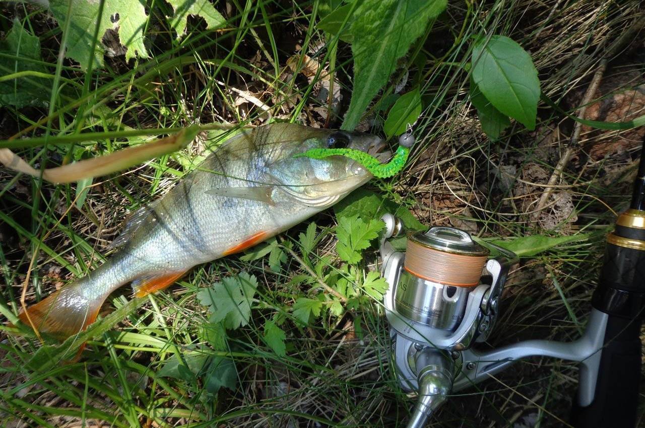 Рыбалка на малых реках: особенности и тактика ловли рыбы