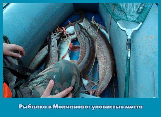 Рыбалка в Томской области: лучшие места на карте ТОП-10