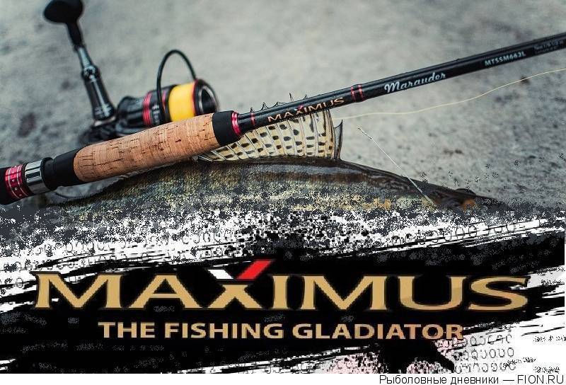 Спиннинги maximus: обзор, 8 лучших моделей из каталога, цена, отзывы рыбаков