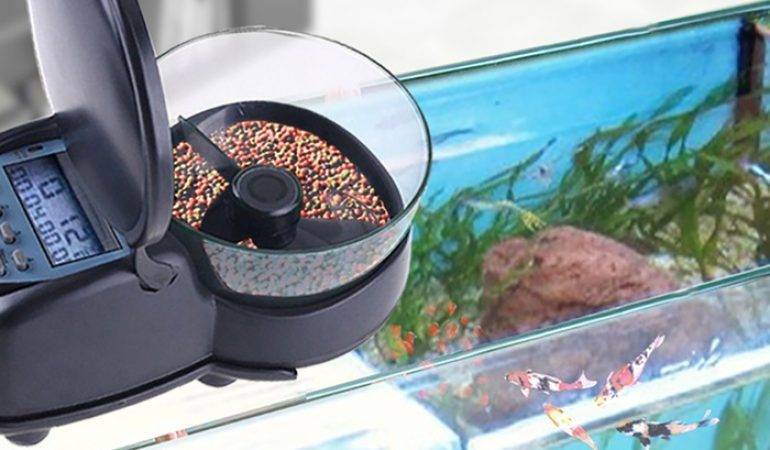 Автоматическая кормушка для аквариумных рыб: виды и варианты.