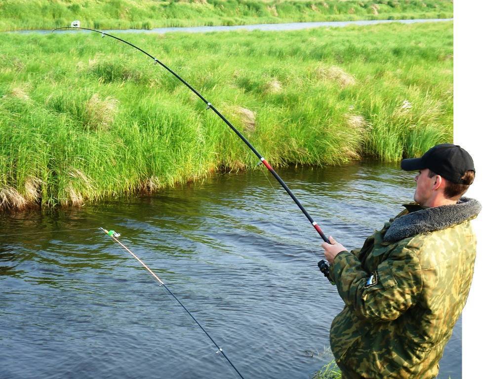 Ловля ротана весной: где искать, особенности рыбалки, на что ловить