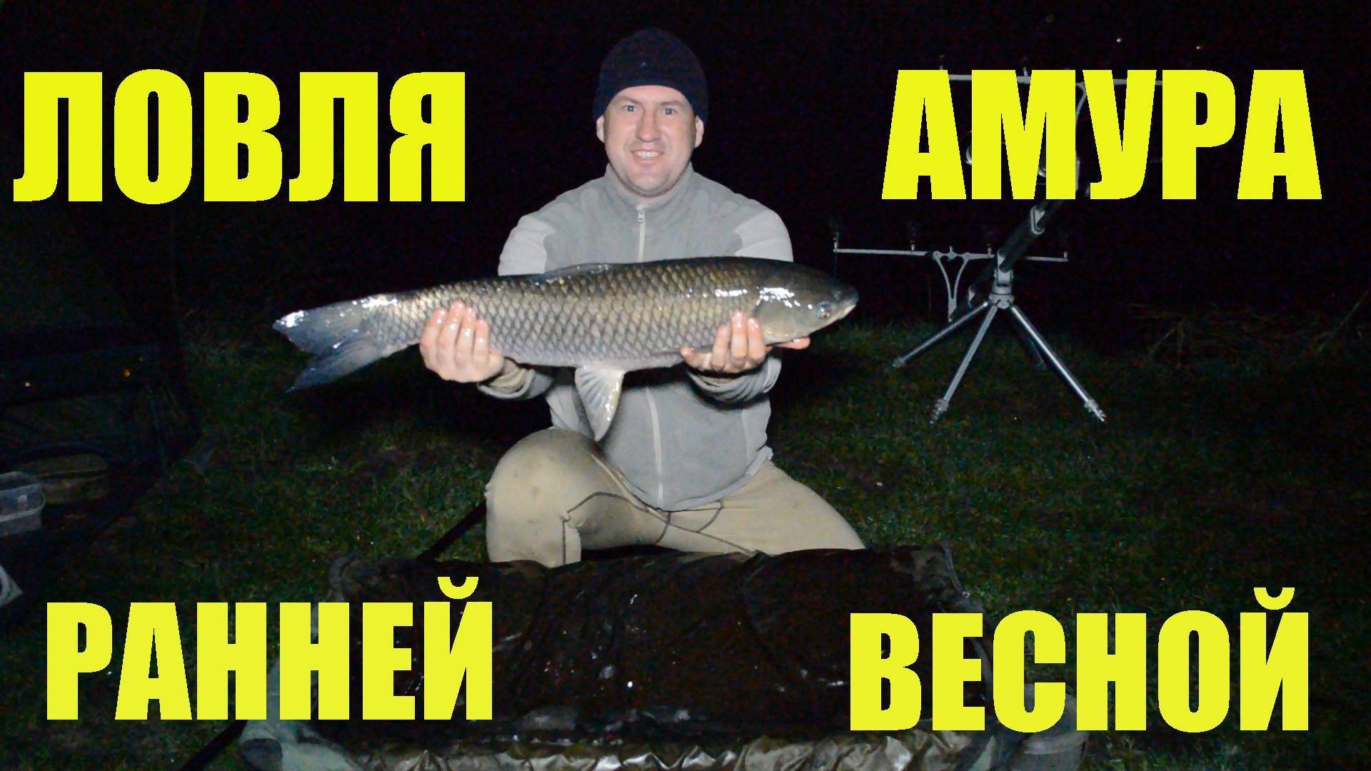 Ловля белого амура – рыбалка зимой, весной, летом и осенью + видео и фото
