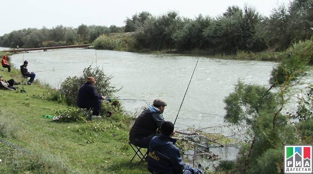 Республика дагестан: весенне-летний нерестовый запрет на рыбалку 2019 года