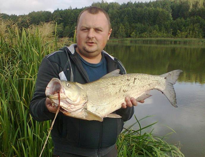 Рыбалка в городе минск