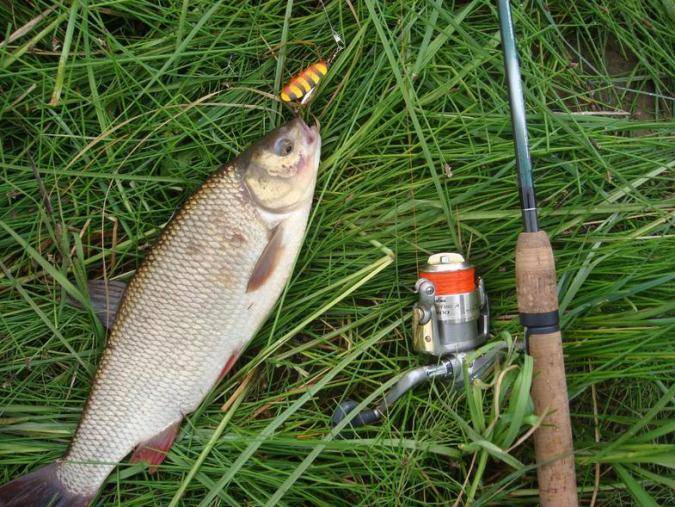 Снасти для рыбалки: обзор самых уловистых и как сделать своими руками