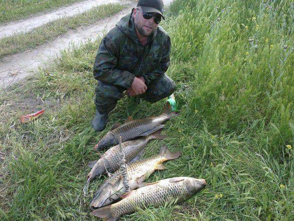 Рыбалка в дагестане: особенности мест ловли