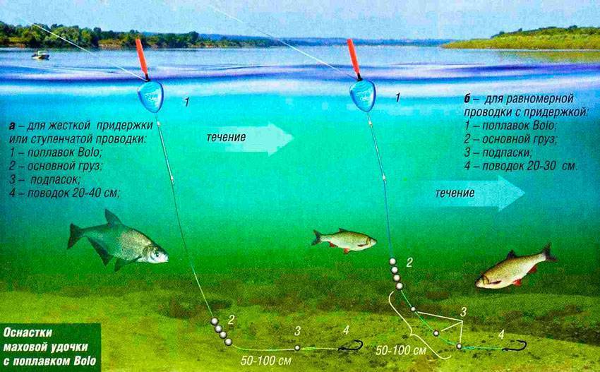 Летняя рыбалка на нижней волге и ахтубе: в июне, июле и августе