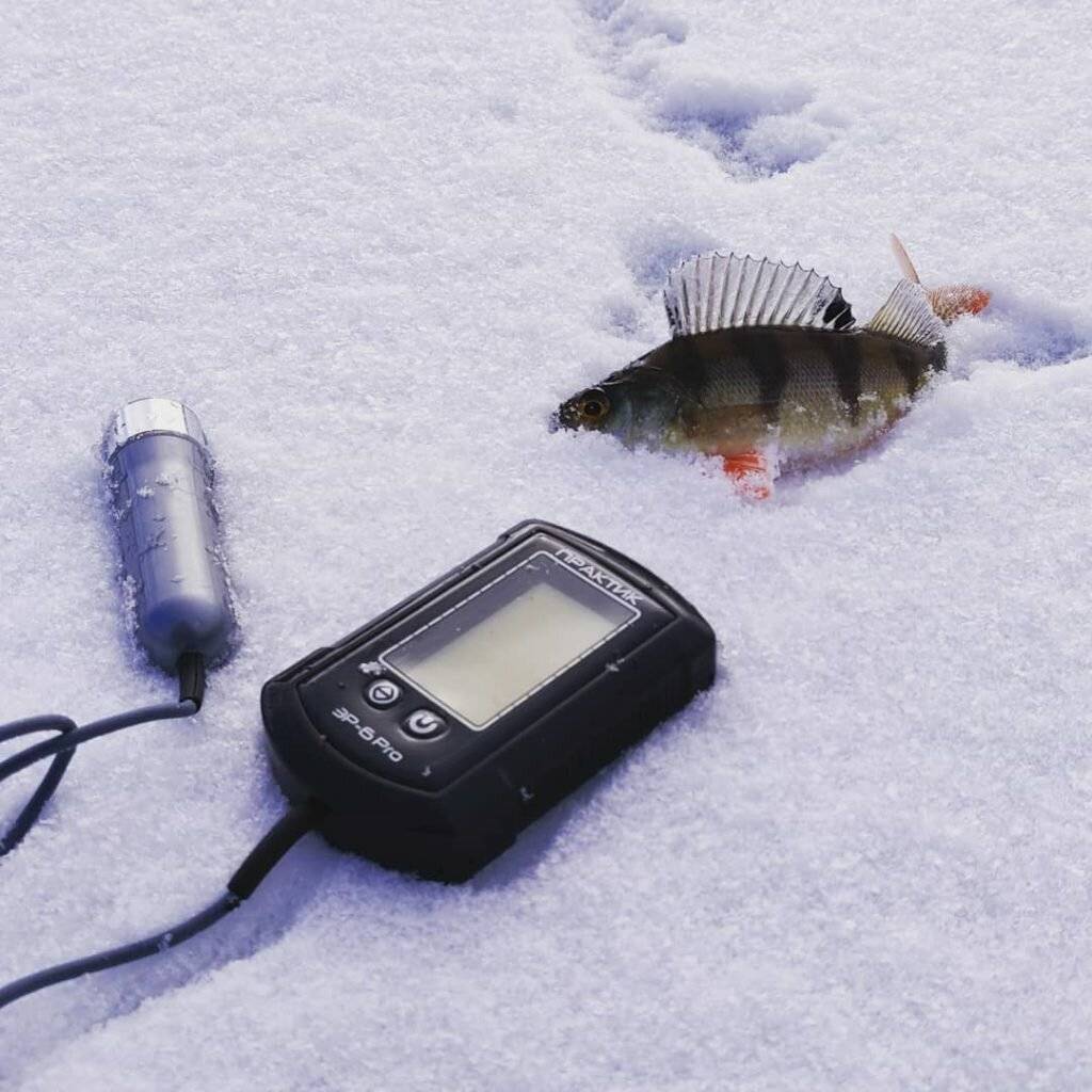 Эхолот для зимней рыбалки через лед: лучшие модели, характеристики