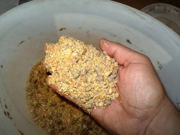 Прикормка для карпа и сазана — рецепты приготовления и ароматизация