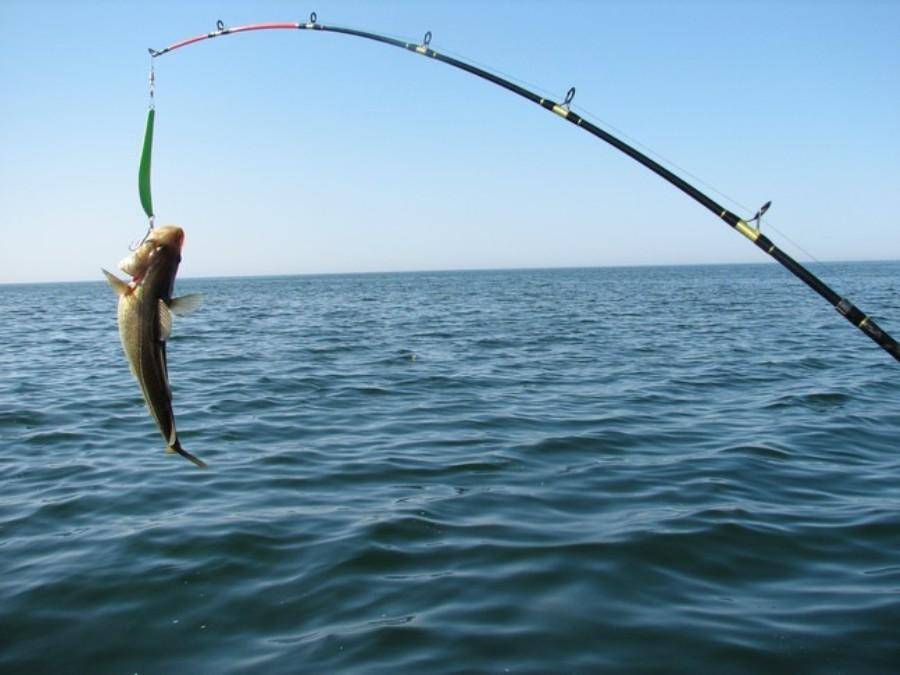 ✅ рыбалка в туапсинском районе - danafish.ru