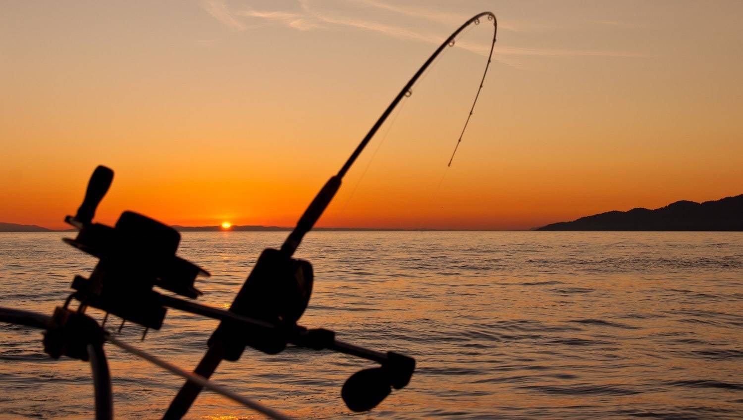 Ловля троллингом: необходимое снаряжение и особенности рыбалки