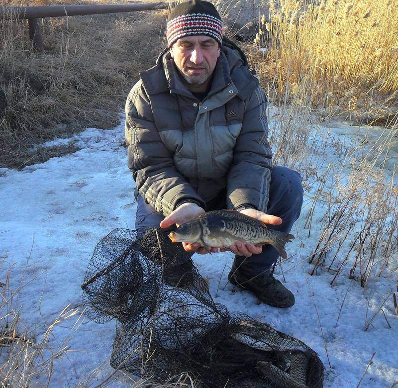 Рыбалка в омской области — обзор водоемов | lovitut.ru (рыбалка и бильярд) | яндекс дзен