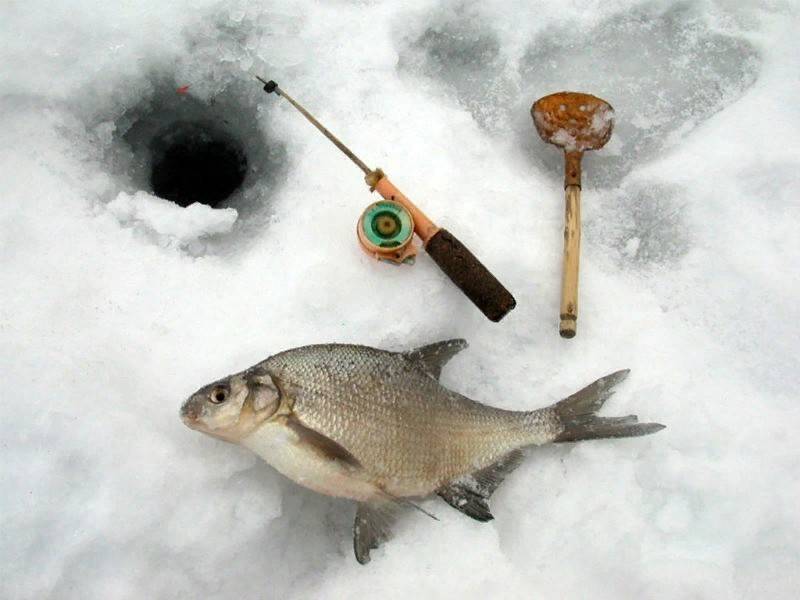 Секреты ловли окуня зимой - на рыбалке!