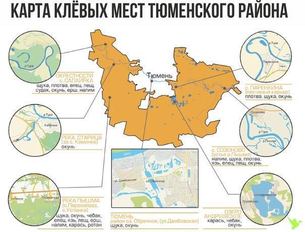 Рыбалка в Тюменской области: лучшие места на карте ТОП-10