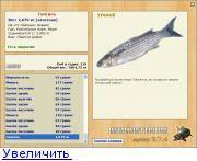 Кефаль что за рыба: фото, описание, как выбрать, рецепты