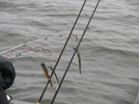 Троллинг. часть 1 - спортивное рыболовство