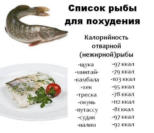 Какую рыбу можно есть на диете — список диетических нежирных сортов и рецепты блюд для похудения | | красота и питание - все о зож