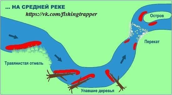 Рыбалка на клязьме в московской области: отзывы, какая рыба водится в клязьминском водохранилище