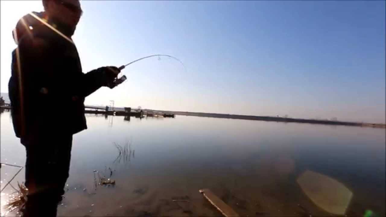 Рыбалка на озере бисерово | ловим все