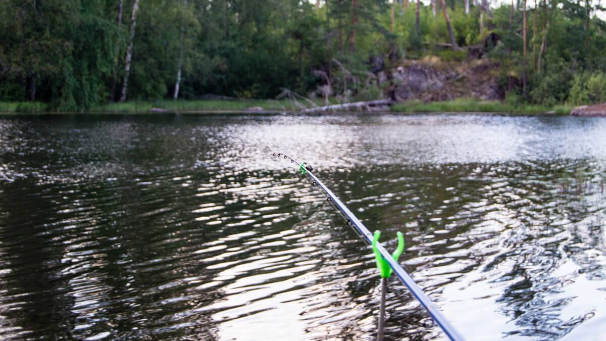 База отдыха заветное с рыбалкой в ленинградской области, рядом с карелией летом и зимой