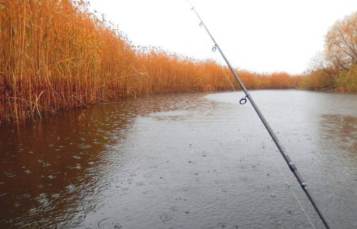 Рыбалка в дождливую погоду