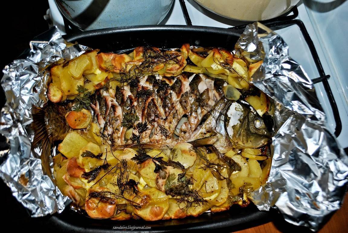 Рыба с картошкой в духовке: выбор филе рыбы.