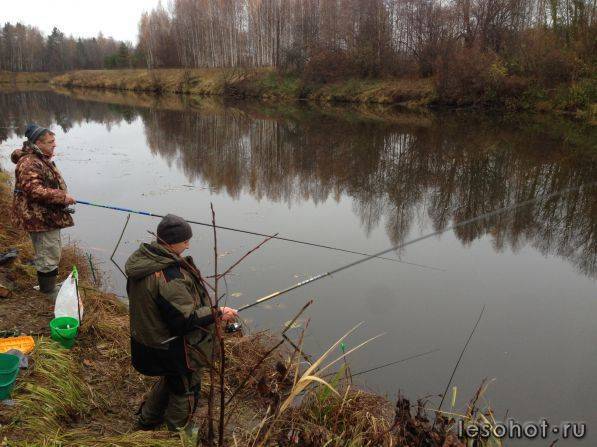Рыбалка в ярославской области и в ярославле - fishingwiki