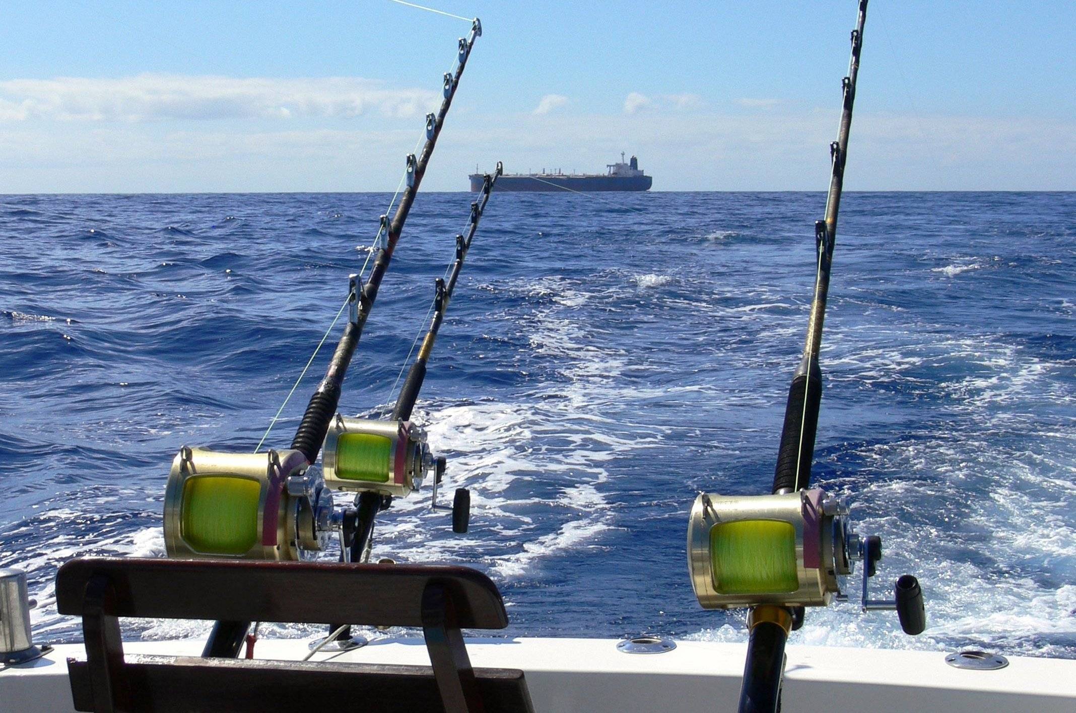 Тролинговая рыбалка: техника ловли судака троллингом, выбор удилища и монтаж снасти, особенности выбора места и времени для рыбалки