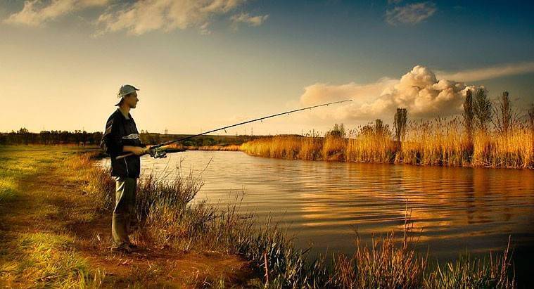 Способы ловли рыбы на все сезоны в челябинской области