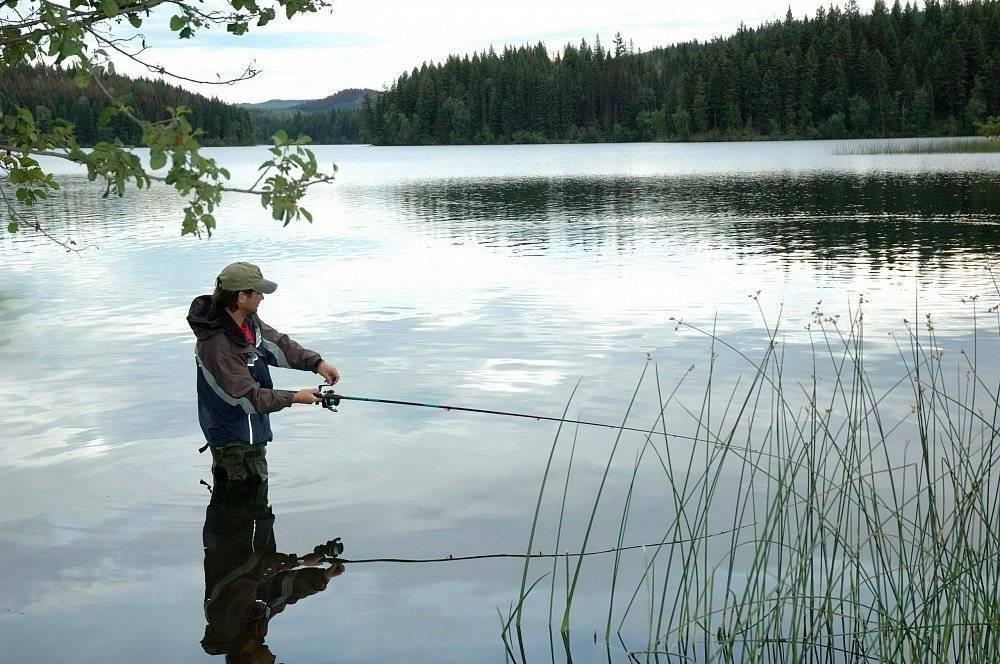 Рыбная ловля на озере: как рыбачить на озерах и прудах