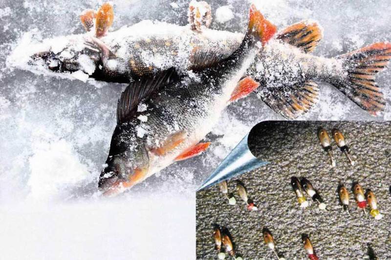 Ловля плотвы зимой на мормышку и покаток | видео с рыбалки