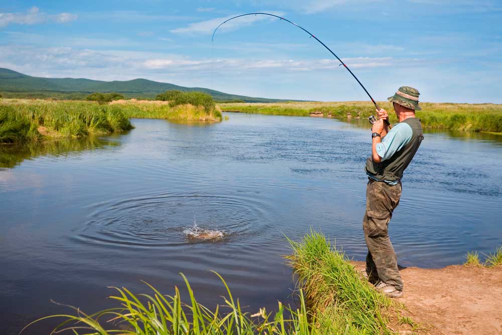 Пруды белгородской области: платные и бесплатные пруды, рыбалка и отзывы
