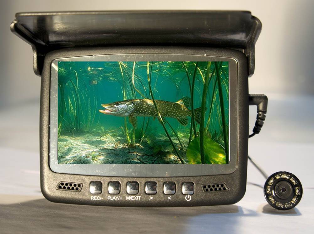 10 лучших подводных камер для зимней рыбалки, рейтинг