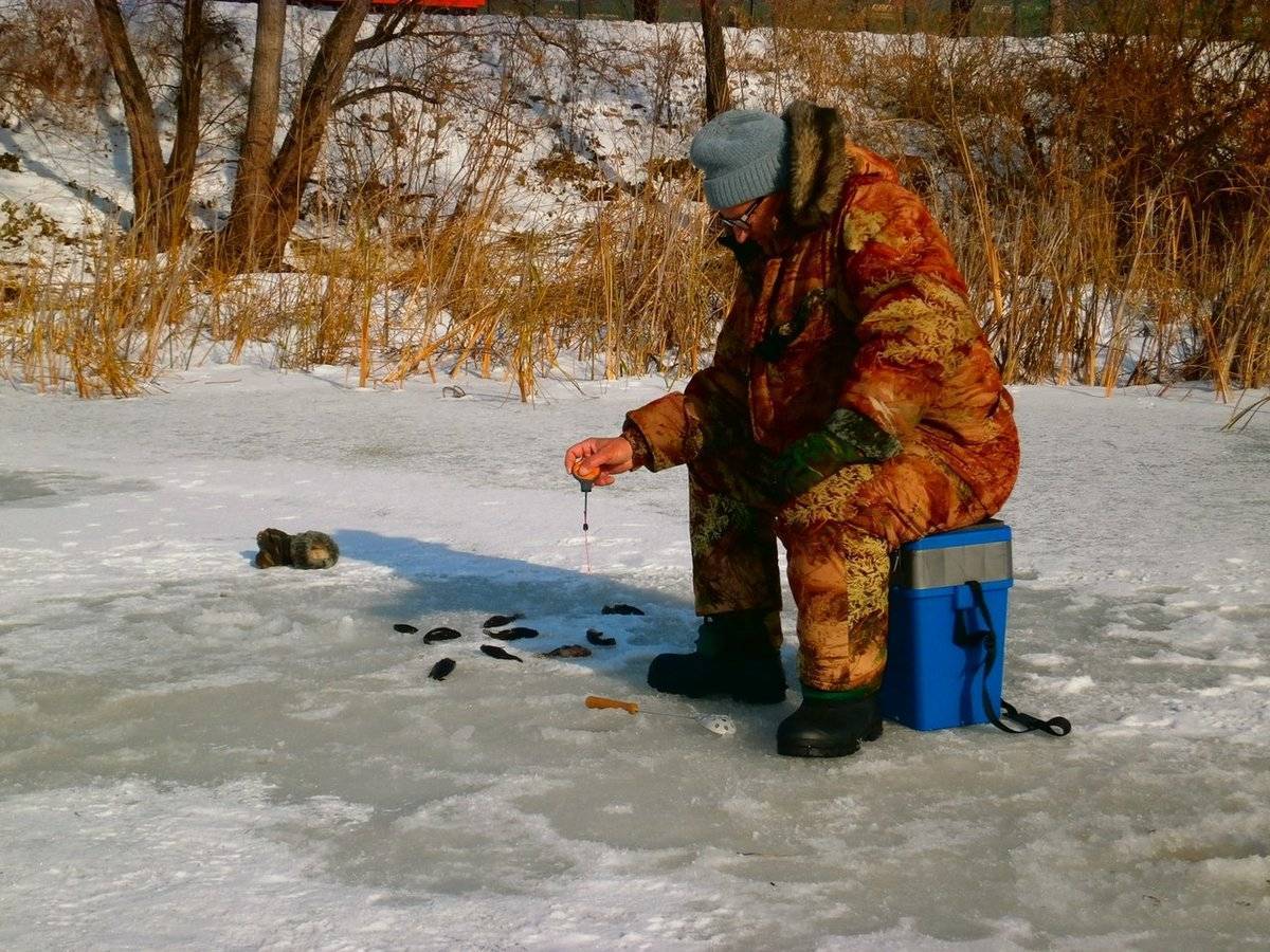 Ловля щуки зимой на жерлицы по первому льду и нюансы рыбалки