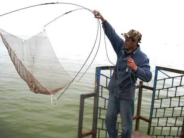 Ловля на экран — техника и правила лова рыбы при помощи телевизора (140 фото и видео)