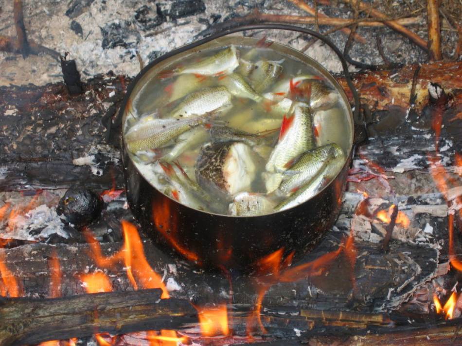 Уха из лосося: рецепт с фото пошагово, финский сливочный суп