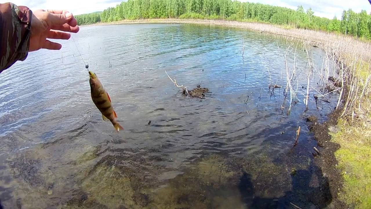 Рыбалка в челябинске и челябинской области
