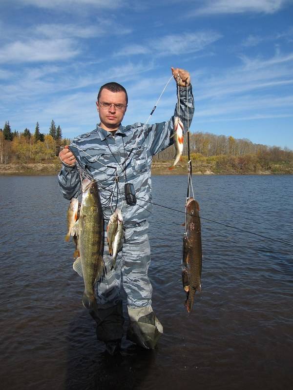 Платная рыбалка в кемеровской области —обзор водоемов, услуги и цены