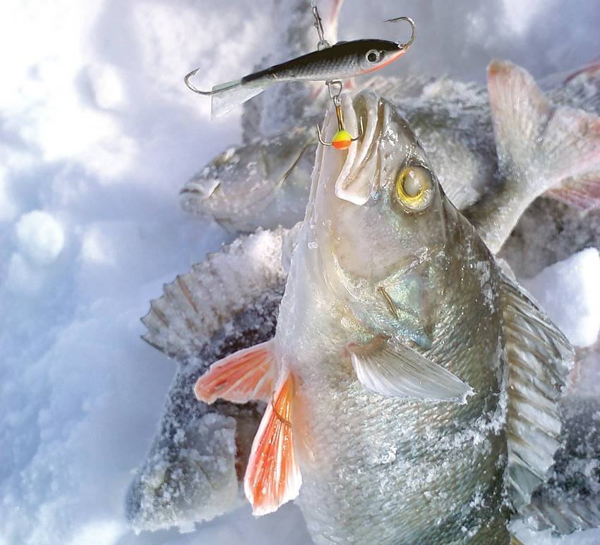 Ловля на балансир зимой – нюансы и особенности рыбалки [2019]