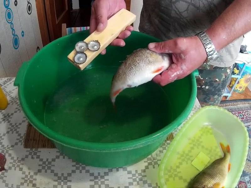 Как чистить свежую рыбу - пошаговая инструкция с фото