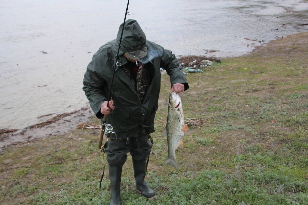 Рыбалка в саратовской области в 2018 году