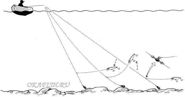 Ловля судака с берега на спиннинг - рыбачок!сайт рыбачок