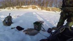 Как поймать леща со льда на поплавок и кивок